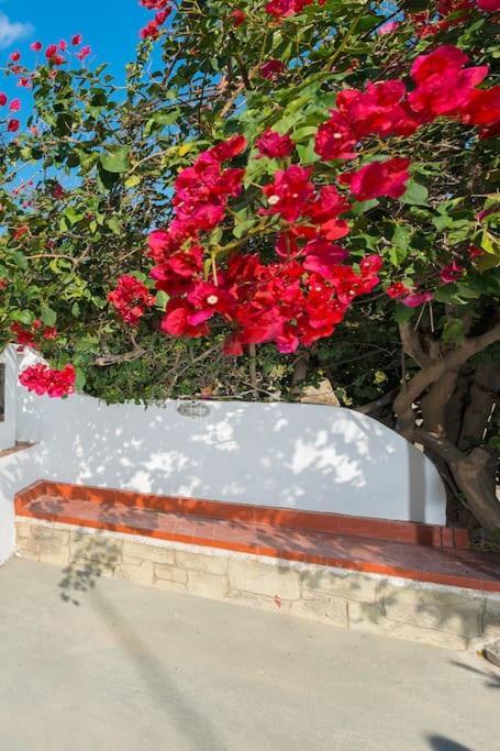 Greek Style Ground Floor Apartment & Pool Ialysos  Dış mekan fotoğraf