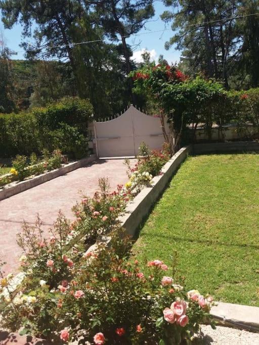 Greek Style Ground Floor Apartment & Pool Ialysos  Dış mekan fotoğraf