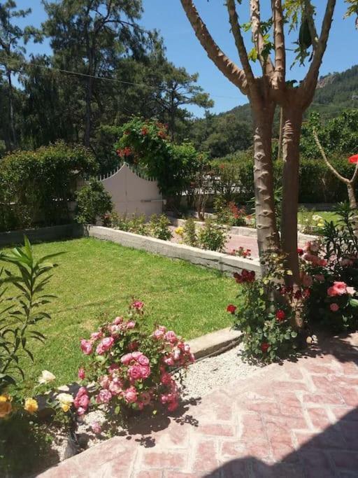 Greek Style Ground Floor Apartment & Pool Ialysos  Dış mekan fotoğraf