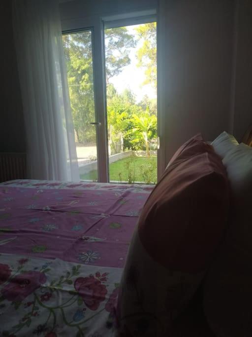 Greek Style Ground Floor Apartment & Pool Ialysos  Dış mekan fotoğraf