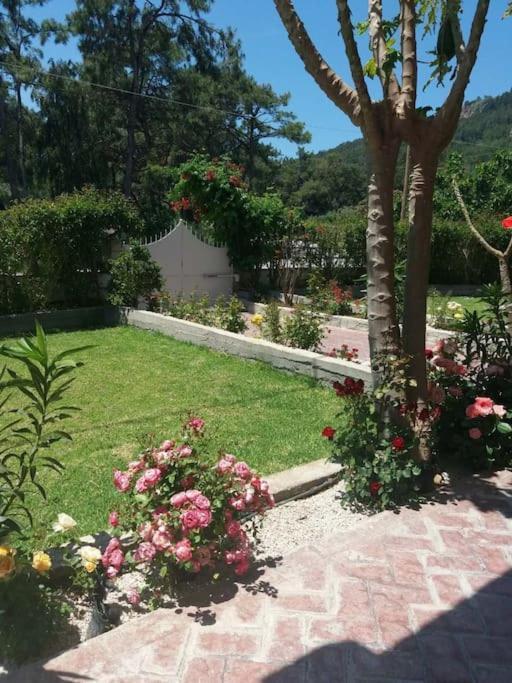Greek Style Ground Floor Apartment & Pool Ialysos  Dış mekan fotoğraf