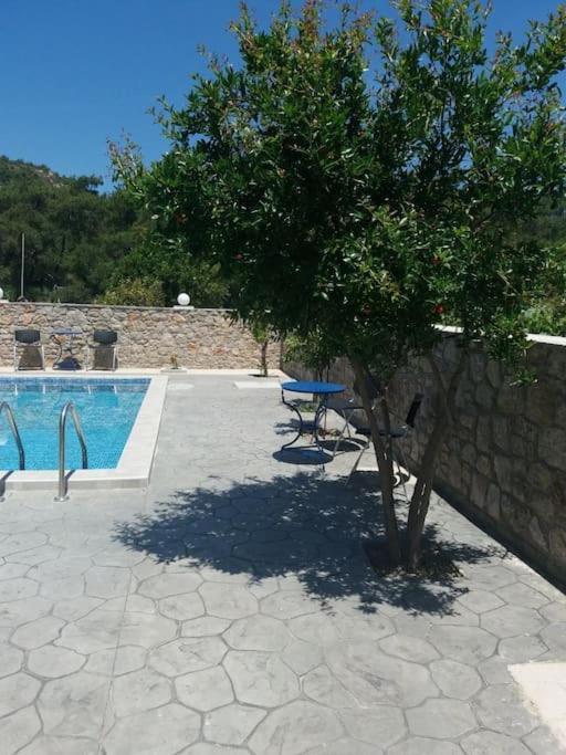 Greek Style Ground Floor Apartment & Pool Ialysos  Dış mekan fotoğraf