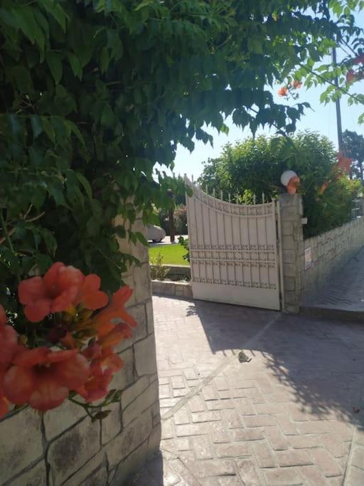 Greek Style Ground Floor Apartment & Pool Ialysos  Dış mekan fotoğraf