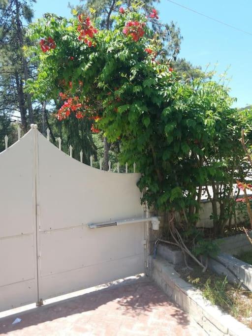 Greek Style Ground Floor Apartment & Pool Ialysos  Dış mekan fotoğraf